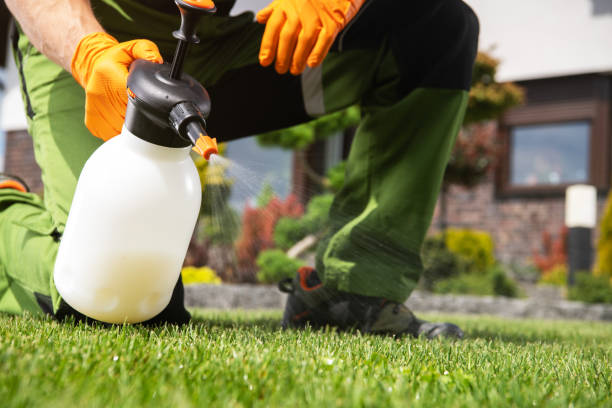 Best Mosquito Control Services  in Loves Park, IL