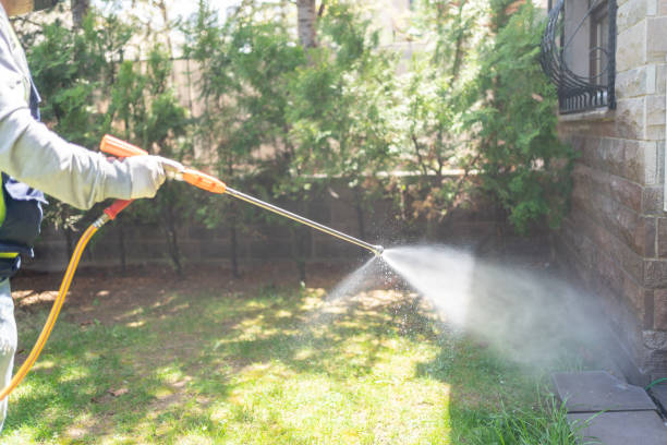 Best Flea Control Services  in Loves Park, IL