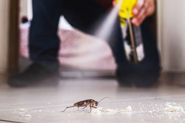 Professional Pest Control in Loves Park, IL