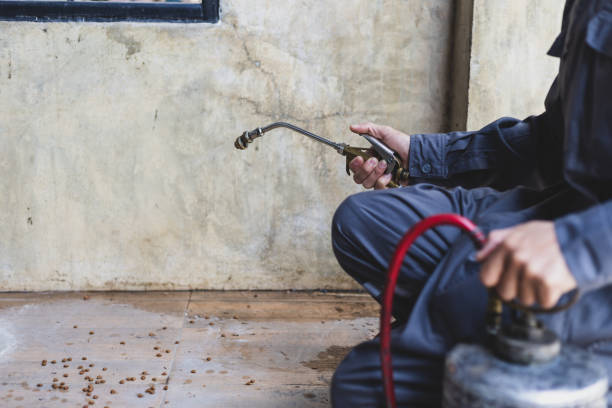 Pest Control Cost in Loves Park, IL